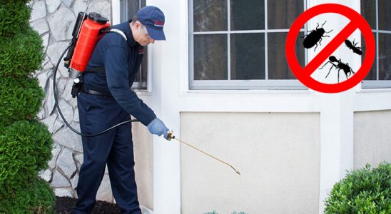 Vakfıkebir Haşere İlaçlama böcek ilaçlama ve haşere kontrolü — ilaclama-tr.com